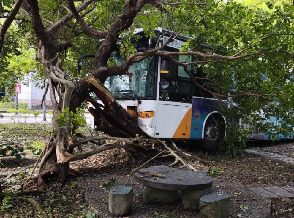 三總院區驚險車禍！公車失控自撞路樹　車頭全毀10人送醫